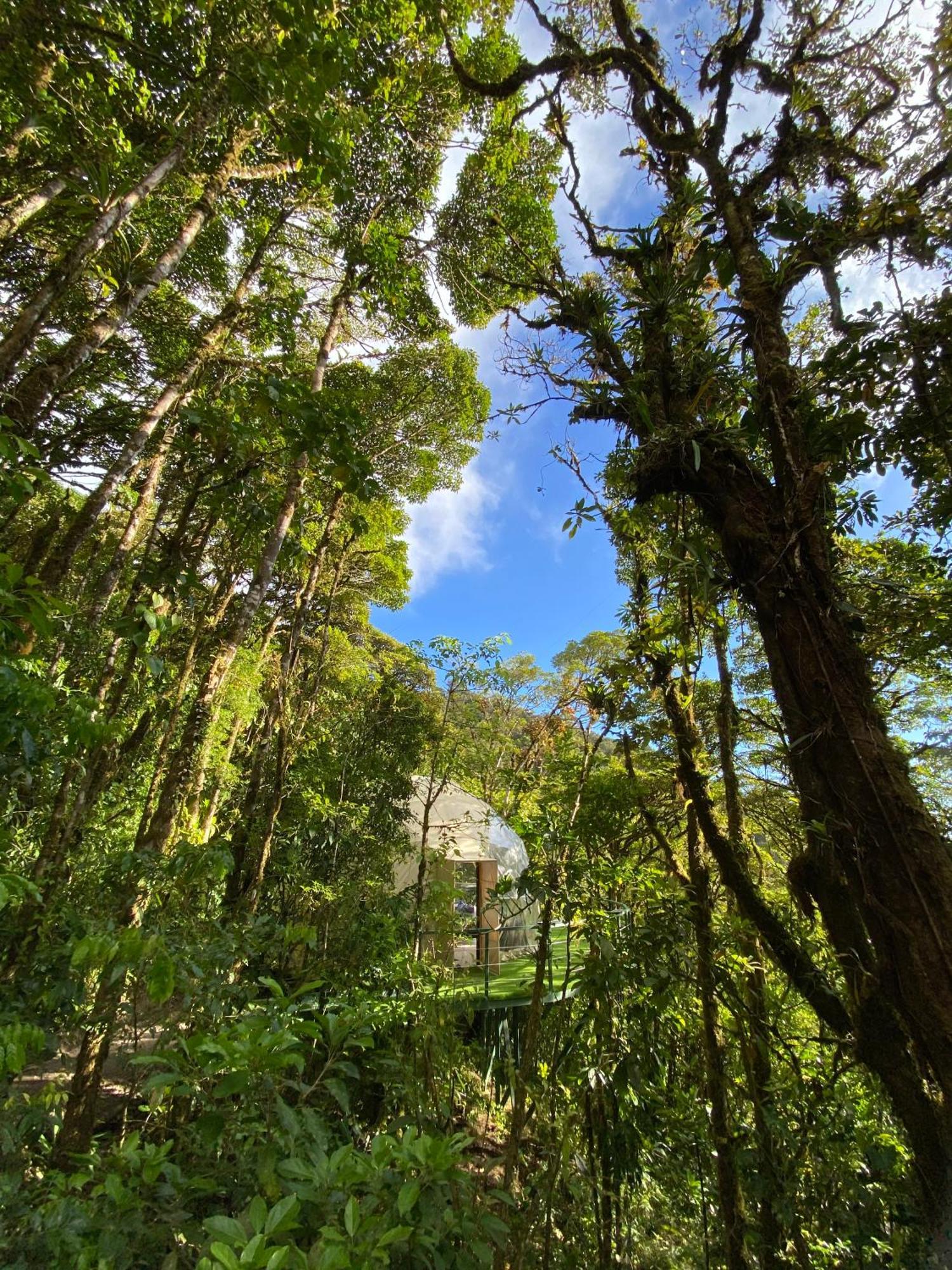 فندق Way To Heaven Glamping الجبل الأخضر المظهر الخارجي الصورة